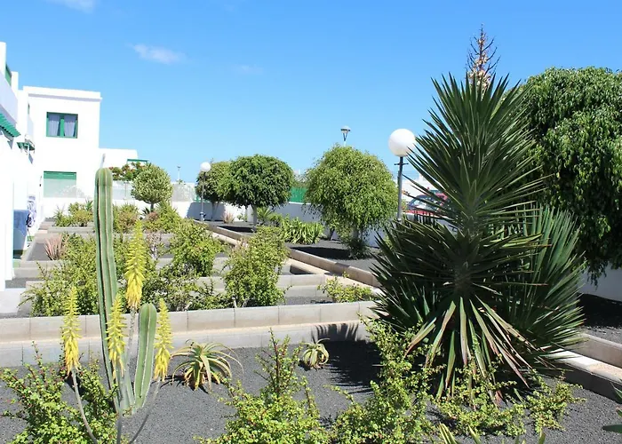 Mimosas 푸에르토 델 카르멘