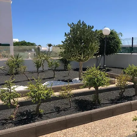 Mimosas * Puerto del Carmen (Lanzarote)