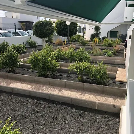 Mimosas Puerto del Carmen (Lanzarote)