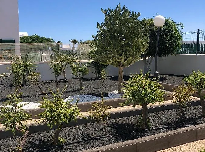 Mimosas * بويرتو ذيل كارمين