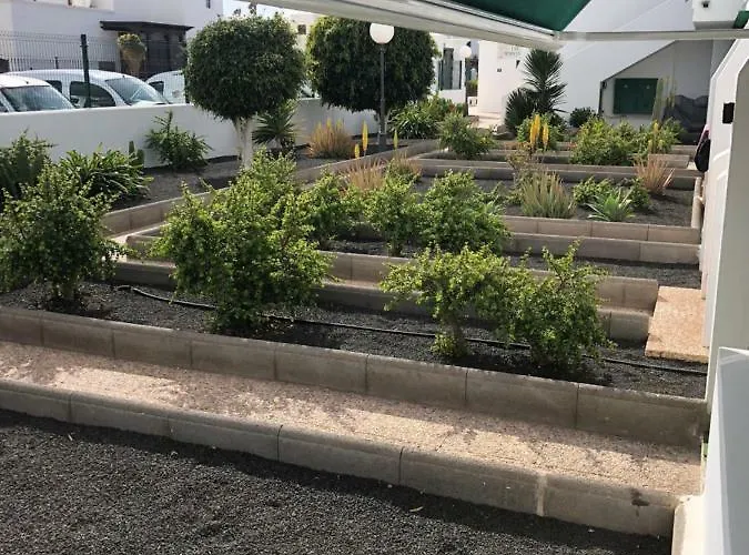 Mimosas بويرتو ذيل كارمين